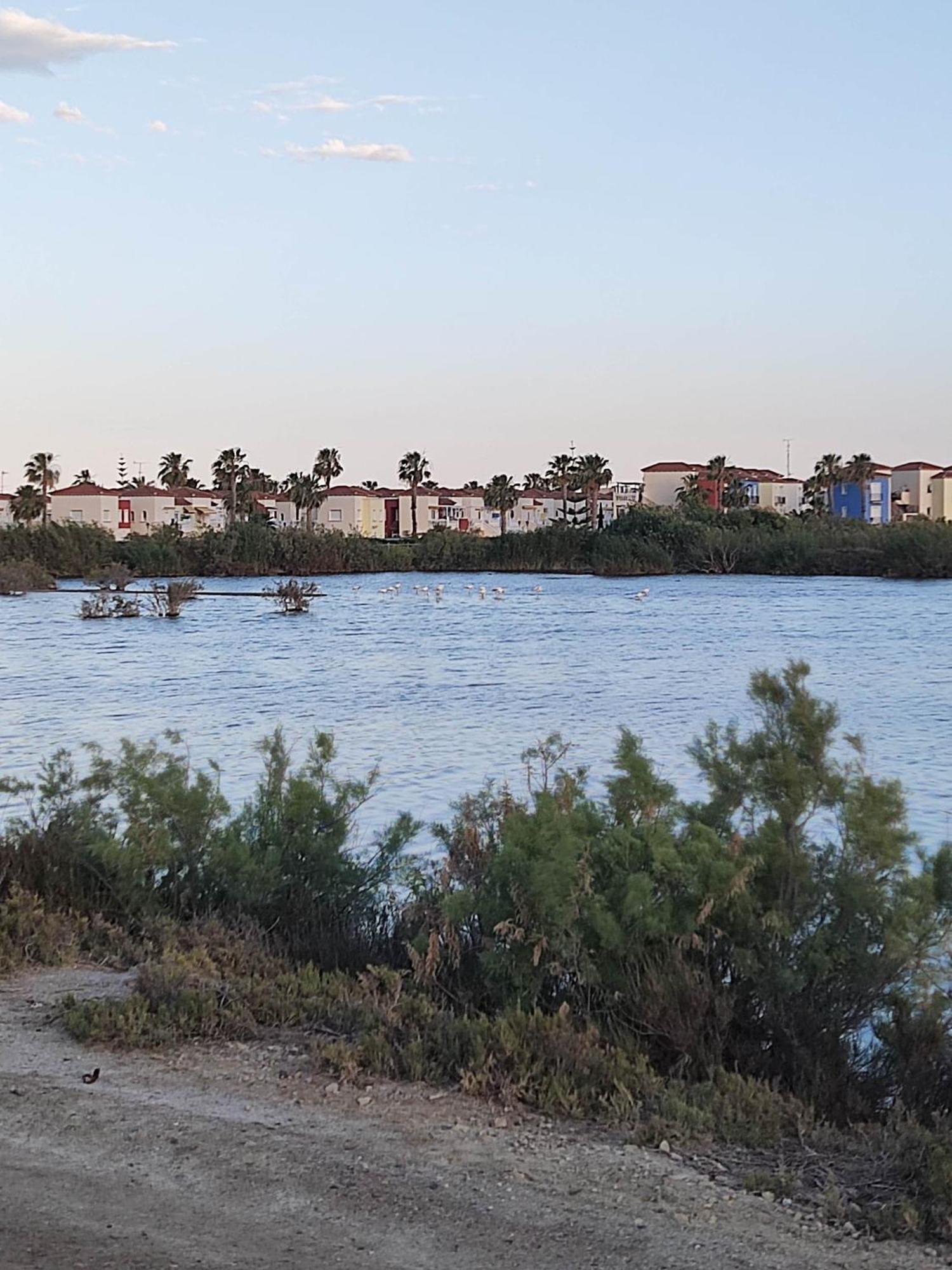 El Mirador De Torremari - Nudista - Vera Playa 외부 사진